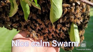 May 13th Swarm #3