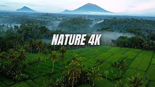 😱AMAZING NATURE 4K | BALI DRONE VIDEO🌴