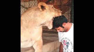 Dubai Prince with his Pet Lion | Prince Pets