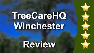 TreeCareHQ Winchester - 5 Star Review - Tree maintenance in Winchester, VA