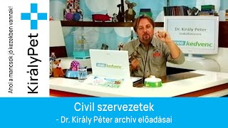 Civil szervezetek