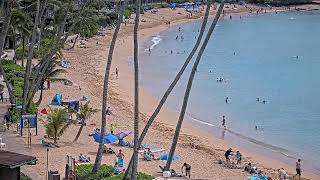 Napili Kai Beach Resort. LIVE streaming video. Maui beach