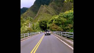 Maui - The Drive to Iao Valley is Breathtaking 🌞 #shorts #maui #hawaii #drive #driving #roadtrip