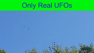 Birds and UFO over Augusta, Georgia.