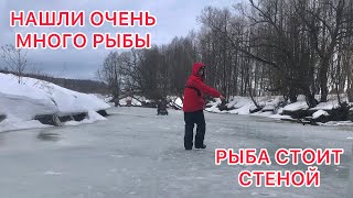 НАШЛИ ОЧЕНЬ МНОГО РЫБЫ / Рыба СТОИТ СТЕНОЙ / ОПУСТИЛИ КАМЕРУ и УДИВИЛИСЬ