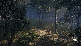 theHunter: Call of the Wild