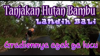 Tanjakan Hutan Bambu Landih | OTW Kintamani via Landih