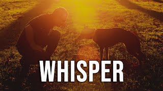 Whisper