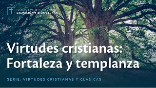 Virtudes cristianas: Fortaleza y templanza