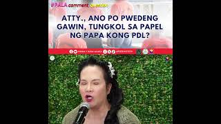 ATTY., ANO PO PWEDENG GAWIN, TUNGKOL SA PAPEL NG PAPA KONG PDL?