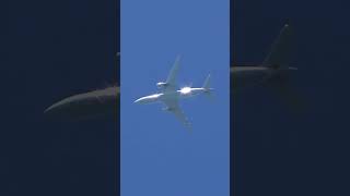 American Airlines Boeing 777-200ER flying over me #shorts #flight #viral #airplane #planespotting