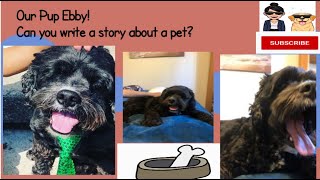 Write a story about a pet!