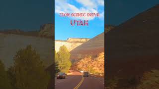 Driving on UT-9, Zion National Park #shorts