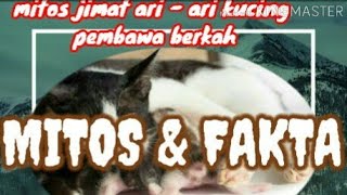 MITOS JIMAT ARI - ARI KUCING BAGI MANUSIA