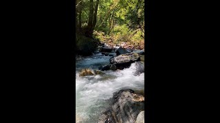 Healing Mountain Stream_yamaguchi〜癒しの渓流_ver5〜