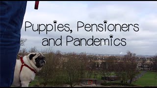 Puppies, Pensioners, and Pandemics