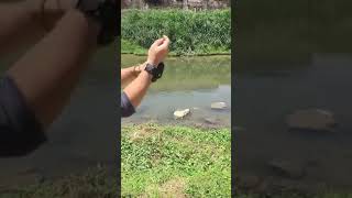 Amazing Rural Fishing Video 🐟 Best Asian Fishing Technique 🐟 #shorts