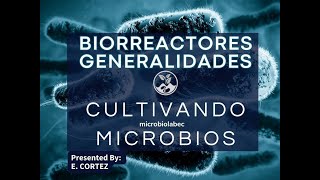 Biorreactores para bioinsumos generalidades