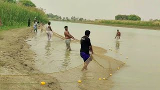 Fish Catching in the Indus River | Fish hunting 2024