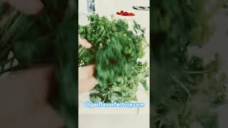 How to keep herbs fresh longer? Olgasflavorfacroty.com