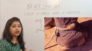 Never Give Up | Luck + Hard Work = Success