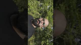 DJI OSMO POCKET 3 Vlogging+Stability Test, Shot in D-LOG3 #djiosmopocket3 #nature #test