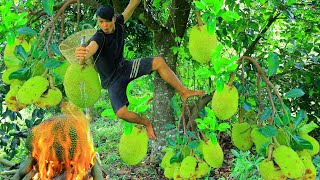 Survival in the rainforest- Man found Jackfruit | grilled Jackfruit for eat -Eating delicious