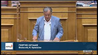 Ολομέλεια Βουλής (8-7-2022) Γιώργος Λογιάδης