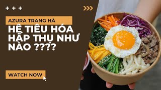 HỆ TIÊU HÓA THỨC ĂN HẤP THU, CHUYỂN HÓA THỨC ĂN CỦA CƠ THỂ