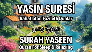 Yasin Suresi | سورة يس | Surah Yaseen | Kuran Dinle | Kuran Recitation