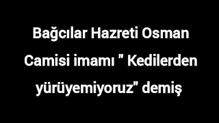 Ülkenin bütün sorunlarını çözdüler,bı kediler köpekler kaldı