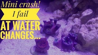 60g cube reef: Mini crash! Problem discovered? And road to recovery.