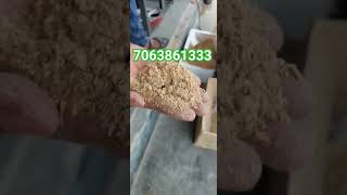 mini Rice Mill machine 3hp motor rice milling  single rice Mill high 😋 speed #ricemill #shortvideo