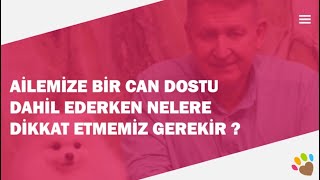 Ailemize bir can dostu dahil ederken nelere dikkat etmemiz gerekir ?