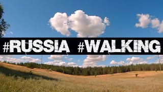 /Russia,​​ walking in the Volgograd region/ Прогулка в лесополосе. Рудня, Волгоградская область.