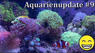 Blue Passion - Aquarienupdate #9