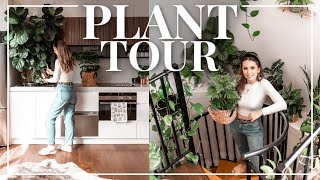 🌿 MEET MY HOUSEPLANTS 🌿 Indoor Plant Tour | LIFE by Arna Alayne