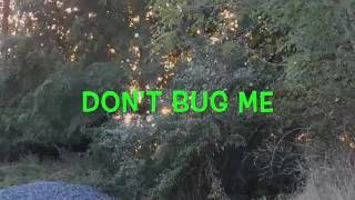 Don't Bug Me 6 Remembrance