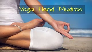 Top 8 Mudras for Good Health - Yoga Hand Mudras