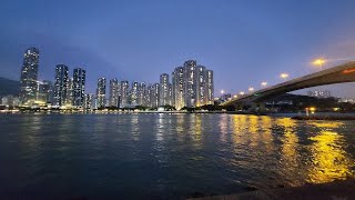 Seaside at Night