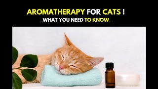 AROMATHERAPY FOR CATS | Essential Oils for Cats: What You Need to Know