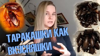 Пособие по разведение тараканов. Накормим лягух в кризис!