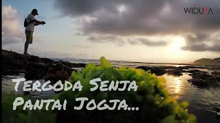 pantai sepanjang Gunung Kidul Penggonda  Dari Jogja #droneview