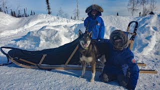 Winter Camping in Alaska with a Sled Dog Team