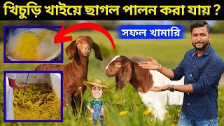 আসলেই কি খিচুড়ি খাইয়ে ছাগল পালন করা যায়?. আসুন জেনে নিই একজন সফল খামারীর কাছ থেকে.