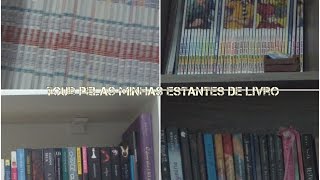 Tour pela minha estante de livros - a menina borboleta