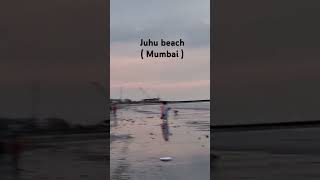 Juhu beach (Mumbai).CSMT.#viralshort #cat #funny #pets #catlover #funnycats #thatlittlepuff #csmt