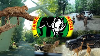 Taman Safari Bogor Review Terupdate Taman Safari Indonesia (Chapter 1) - Safari Journey