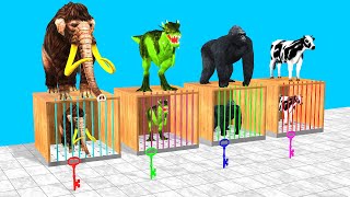 Choose The Right Mystery Key With Gorilla Cow Mammoth Elephant Dinosaur Wild Animal Games Video