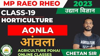 Class-19 | Aonla | आंवला | Horticulture | MP RAEO | RHEO | SADO | ATM | BTM | By Chetan Sir